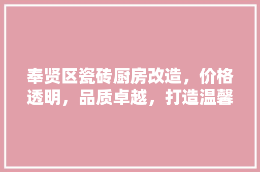 奉贤区瓷砖厨房改造，价格透明，品质卓越，打造温馨家居新天地