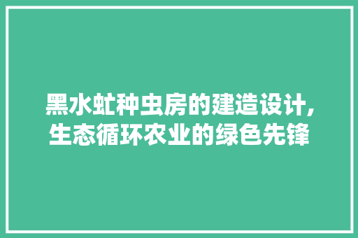 黑水虻种虫房的建造设计,生态循环农业的绿色先锋