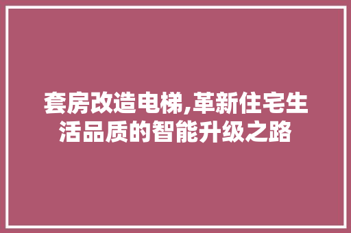 套房改造电梯,革新住宅生活品质的智能升级之路