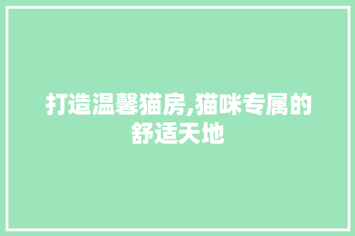 打造温馨猫房,猫咪专属的舒适天地