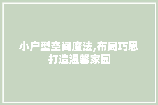 小户型空间魔法,布局巧思打造温馨家园