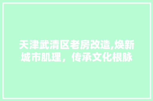 天津武清区老房改造,焕新城市肌理，传承文化根脉