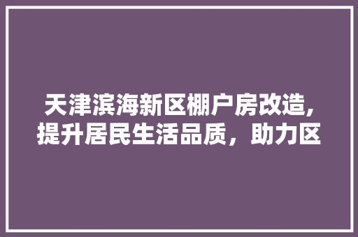 天津滨海新区棚户房改造,提升居民生活品质，助力区域发展