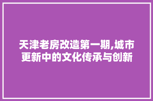 天津老房改造第一期,城市更新中的文化传承与创新