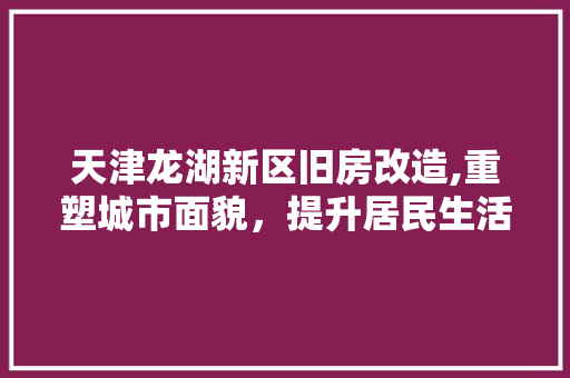 天津龙湖新区旧房改造,重塑城市面貌，提升居民生活品质