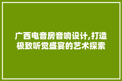 广西电音房音响设计,打造极致听觉盛宴的艺术探索