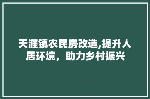 天涯镇农民房改造,提升人居环境，助力乡村振兴