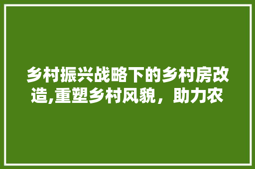 乡村振兴战略下的乡村房改造,重塑乡村风貌，助力农村可持续发展 建筑设计