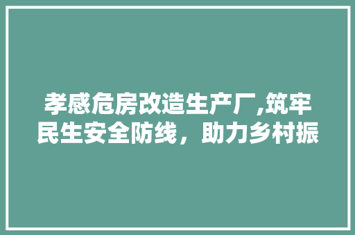 孝感危房改造生产厂,筑牢民生安全防线，助力乡村振兴