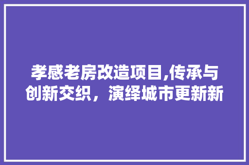 孝感老房改造项目,传承与创新交织，演绎城市更新新篇章
