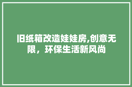 旧纸箱改造娃娃房,创意无限，环保生活新风尚
