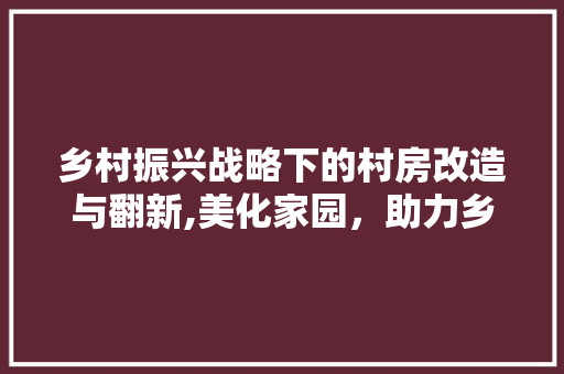 乡村振兴战略下的村房改造与翻新,美化家园，助力乡村蝶变