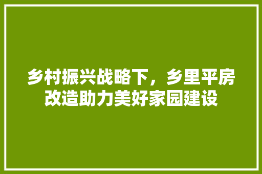 乡村振兴战略下，乡里平房改造助力美好家园建设