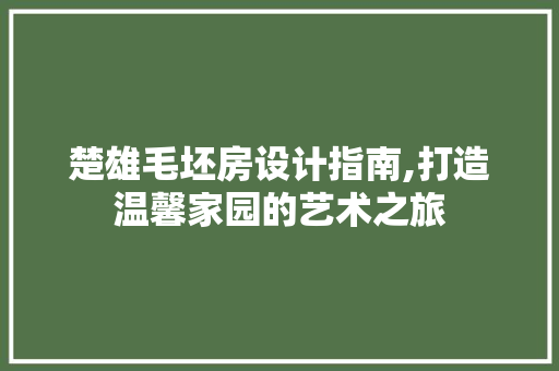 楚雄毛坯房设计指南,打造温馨家园的艺术之旅