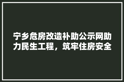 宁乡危房改造补助公示网助力民生工程，筑牢住房安全防线