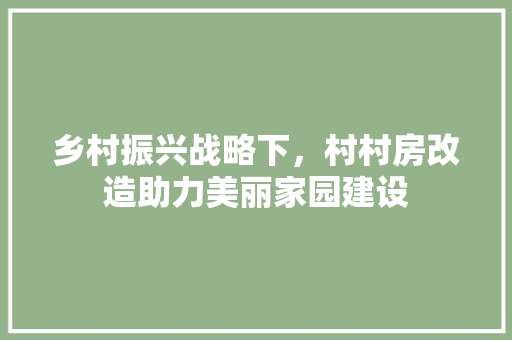 乡村振兴战略下，村村房改造助力美丽家园建设
