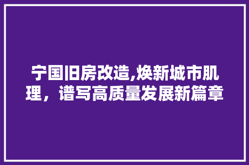 宁国旧房改造,焕新城市肌理，谱写高质量发展新篇章 建筑设计