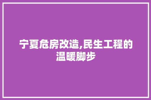 宁夏危房改造,民生工程的温暖脚步