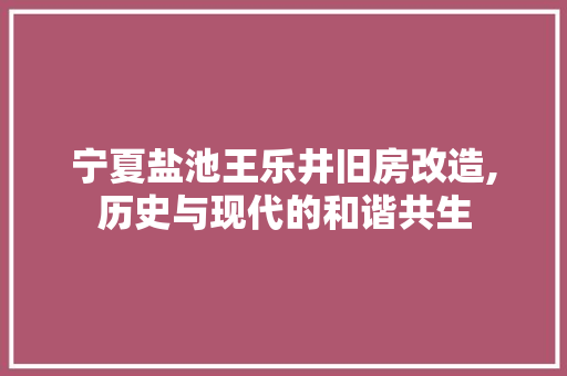宁夏盐池王乐井旧房改造,历史与现代的和谐共生 门窗装修 宁夏盐池王乐井旧房改造,历史与现代的和谐共生 门窗装修