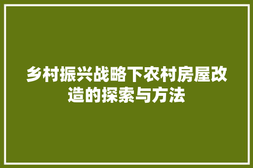 乡村振兴战略下农村房屋改造的探索与方法 墙面装饰