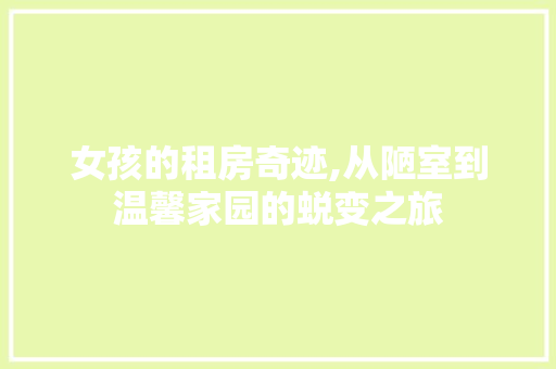 女孩的租房奇迹,从陋室到温馨家园的蜕变之旅