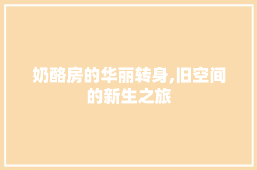 奶酪房的华丽转身,旧空间的新生之旅