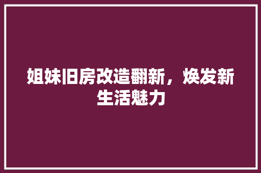 姐妹旧房改造翻新，焕发新生活魅力 装修攻略
