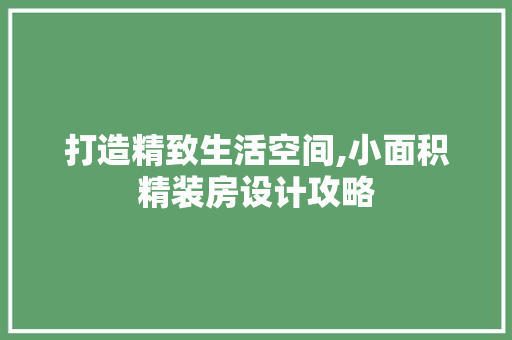打造精致生活空间,小面积精装房设计攻略