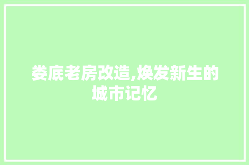 娄底老房改造,焕发新生的城市记忆