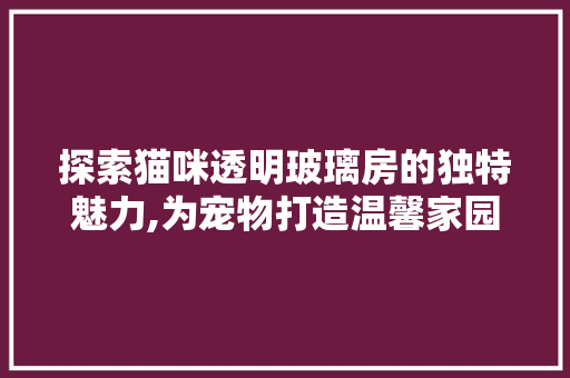 探索猫咪透明玻璃房的独特魅力,为宠物打造温馨家园