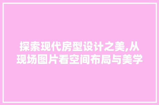 探索现代房型设计之美,从现场图片看空间布局与美学融合