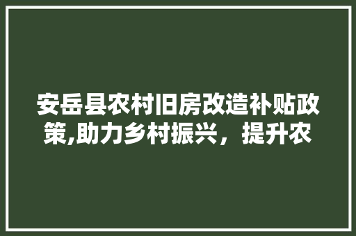 安岳县农村旧房改造补贴政策,助力乡村振兴，提升农村人居环境 墙面装饰