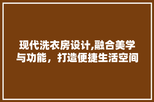 现代洗衣房设计,融合美学与功能，打造便捷生活空间