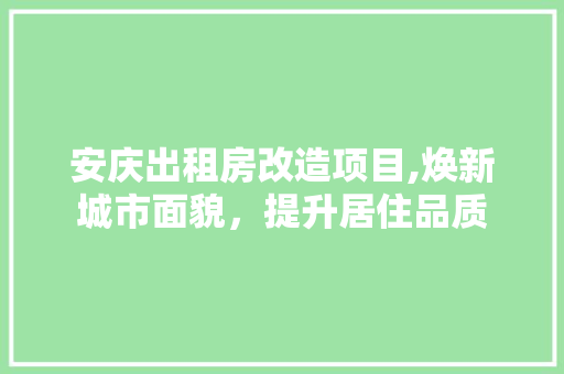 安庆出租房改造项目,焕新城市面貌，提升居住品质