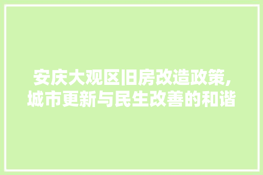 安庆大观区旧房改造政策,城市更新与民生改善的和谐交响