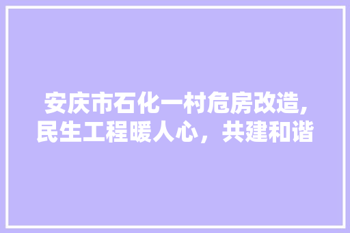 安庆市石化一村危房改造,民生工程暖人心，共建和谐宜居家园 门窗装修