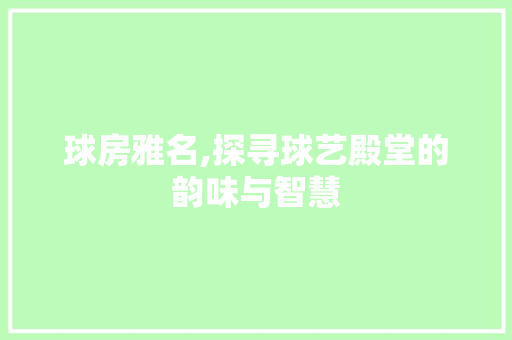 球房雅名,探寻球艺殿堂的韵味与智慧