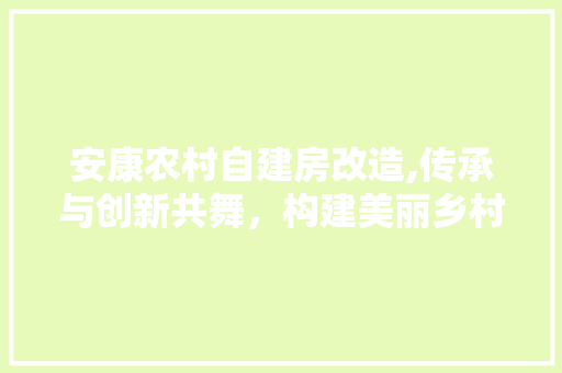 安康农村自建房改造,传承与创新共舞，构建美丽乡村新篇章