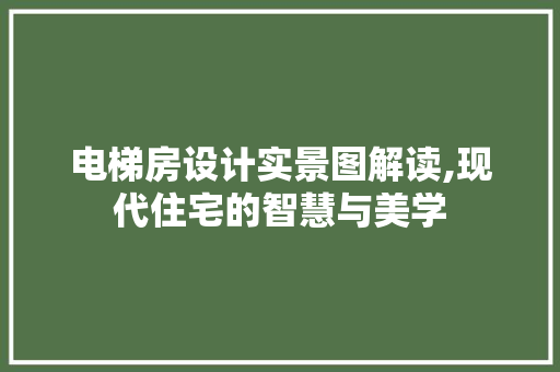 电梯房设计实景图解读,现代住宅的智慧与美学