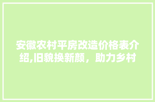 安徽农村平房改造价格表介绍,旧貌换新颜，助力乡村振兴 装修材料