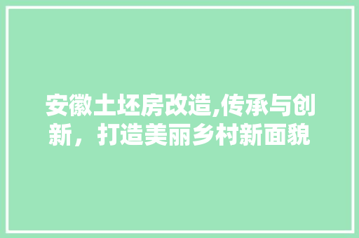 安徽土坯房改造,传承与创新，打造美丽乡村新面貌 景观设计