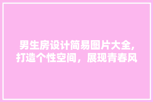 男生房设计简易图片大全,打造个性空间，展现青春风采