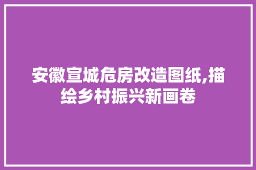 安徽宣城危房改造图纸,描绘乡村振兴新画卷 装修攻略