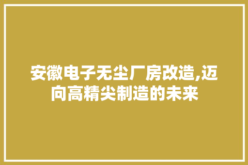 安徽电子无尘厂房改造,迈向高精尖制造的未来