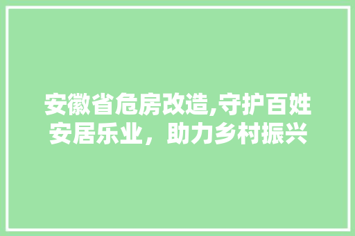 安徽省危房改造,守护百姓安居乐业，助力乡村振兴