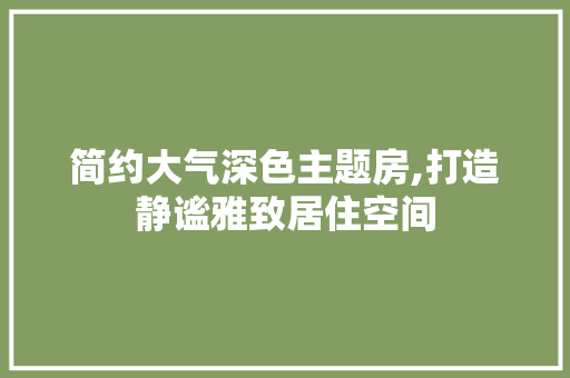简约大气深色主题房,打造静谧雅致居住空间