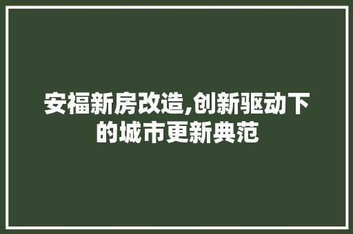安福新房改造,创新驱动下的城市更新典范 装修材料