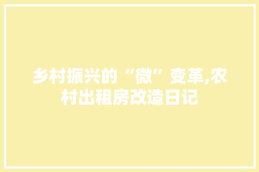 乡村振兴的“微”变革,农村出租房改造日记 装修攻略
