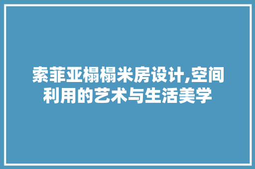 索菲亚榻榻米房设计,空间利用的艺术与生活美学