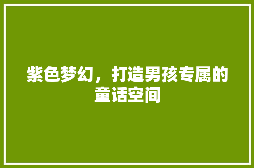 紫色梦幻，打造男孩专属的童话空间
